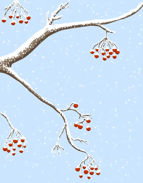 Rowanberries под снегом — стоковый вектор