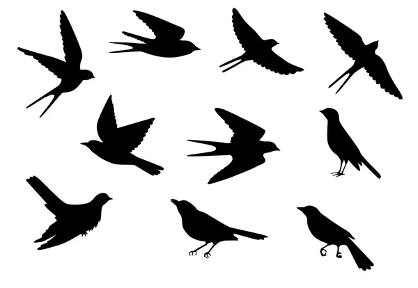 Vogelmuster — Stockvektor
