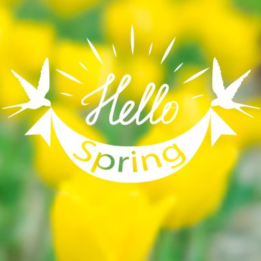 Bahar bulanık arka plan