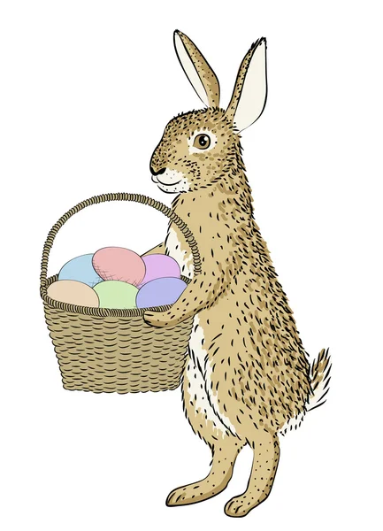 Lapin et panier aux œufs — Image vectorielle