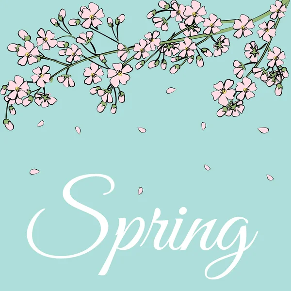 การ์ดที่มีดอกไม้ฤดูใบไม้ผลิ — ภาพเวกเตอร์สต็อก