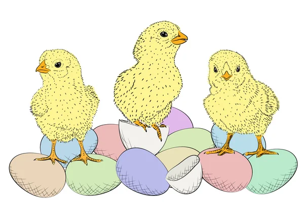 Easter eggs and chickens — Stock Vector