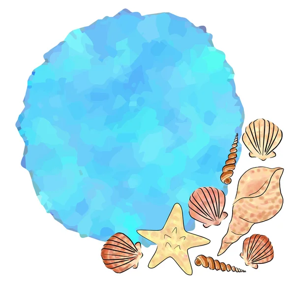 Sea shells — Stock Vector