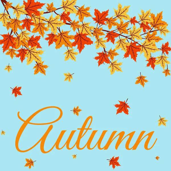 Sonbahar Yaprakları