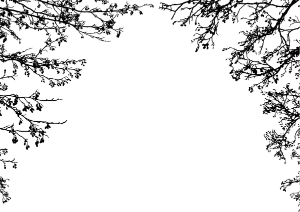 Arbre branches cadre — Image vectorielle