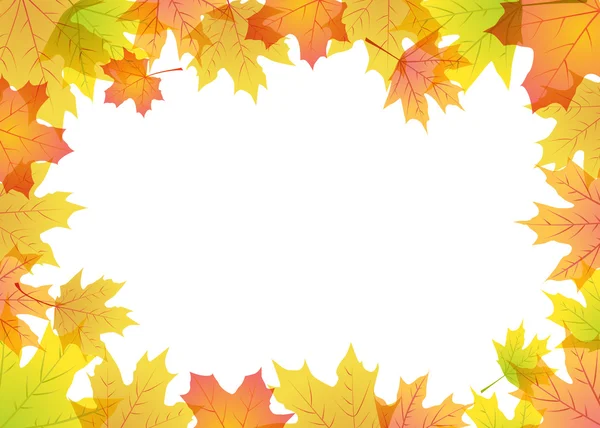 Maple leaves frame — Stock Vector