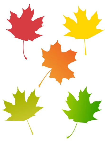 Кленовые осенние листья — стоковый вектор