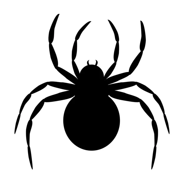 Black spider — Stock Vector