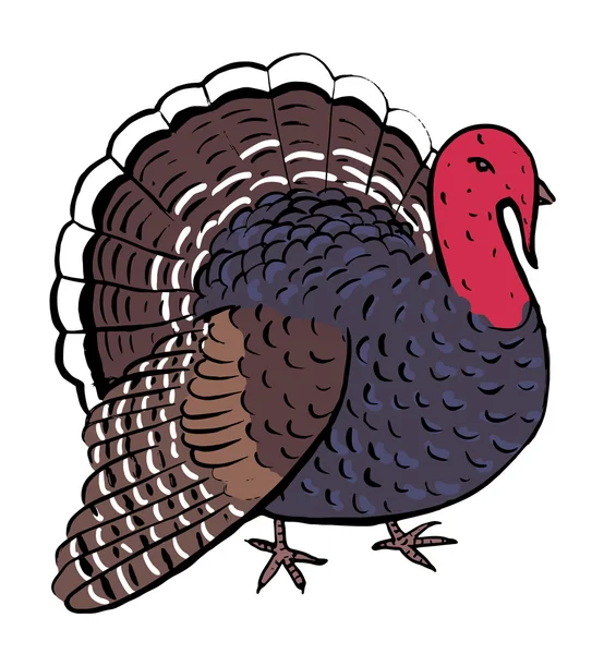 Turkiet för Tacksägelsedagen — Stock vektor