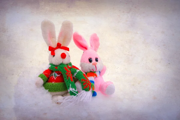 Two bunny on snow on christmas — Stock Photo, Image
