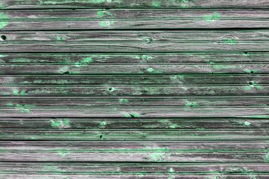 Doğal desenli eski yeşil ahşap doku.