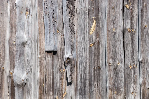 La texture de vieux bois avec des motifs naturels — Photo