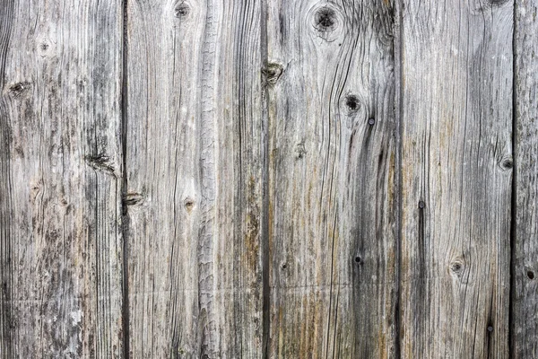 La texture de vieux bois avec des motifs naturels — Photo