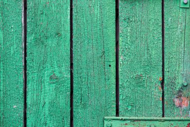 Doğal desenli eski yeşil ahşap doku.