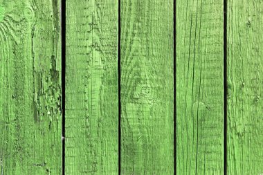 Doğal desenli eski yeşil ahşap doku.
