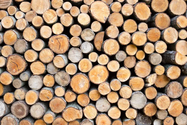 Montón Troncos Madera Listo Para Invierno — Foto de Stock