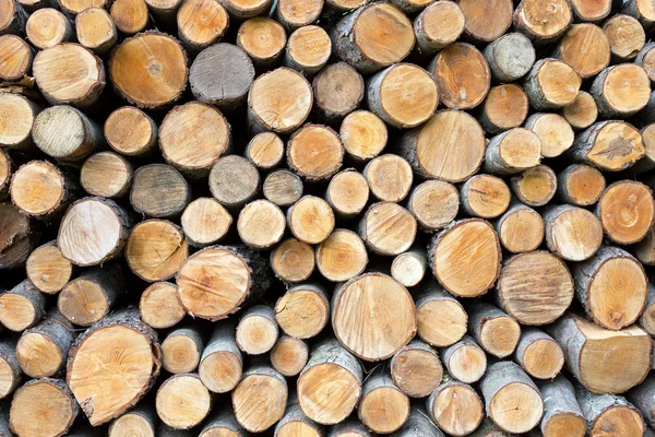 Montón Troncos Madera Listo Para Invierno — Foto de Stock