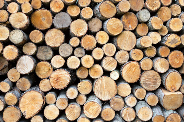 Pile of wood logs ready for winter