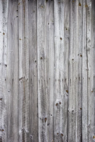 Old Wood Texture Natural Patterns — Stock Photo, Image