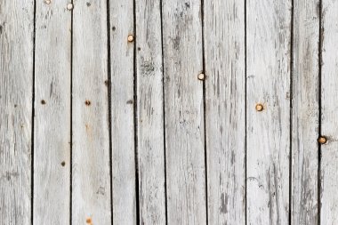 Beyaz ahşap dokulu doğal desenler arka plan ve