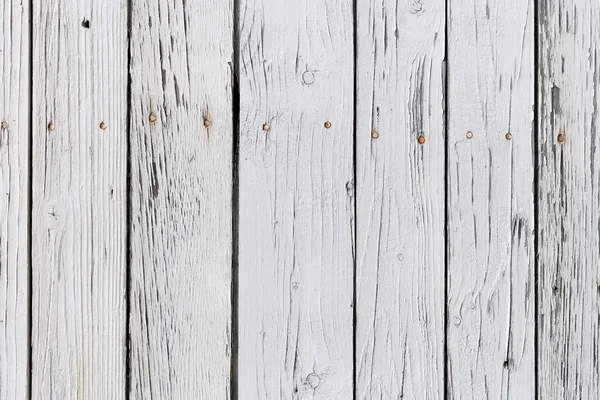 La texture in legno bianco con motivi naturali sfondo — Foto Stock