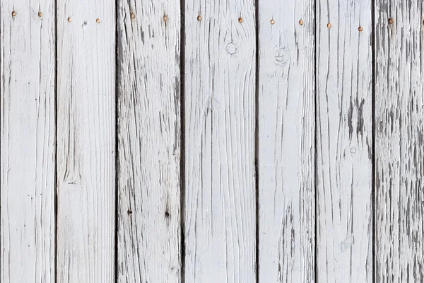 La texture in legno bianco con motivi naturali sfondo — Foto Stock