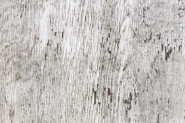 La textura de madera blanca con patrones naturales de fondo — Foto de Stock