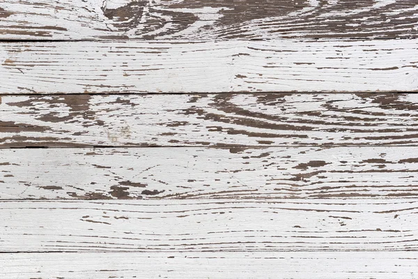 La texture du bois blanc avec des motifs naturels — Photo