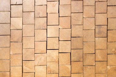 Doğal desenli eski ahşap doku.