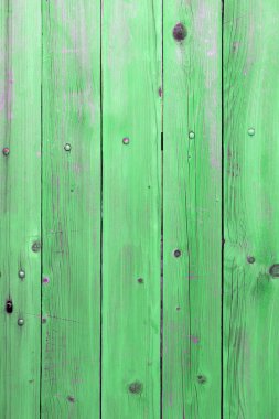 Doğal desenli eski yeşil ahşap doku.