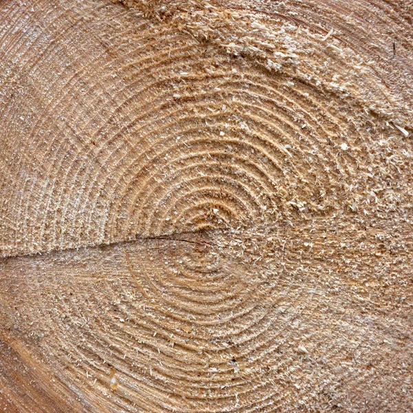 用作背景的天然木材 — 图库照片
