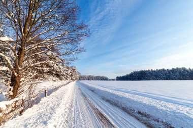 Ormandaki beyaz kış manzarasında yol. 