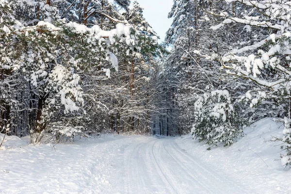 Ormandaki Beyaz Kış Manzarasında Yol — Stok fotoğraf