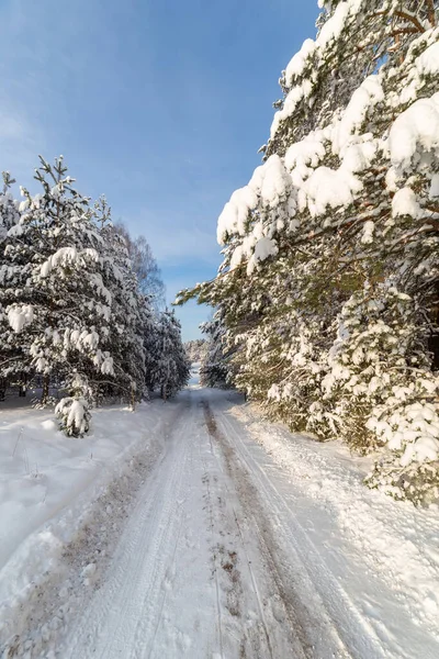 Ormandaki Beyaz Kış Manzarasında Yol — Stok fotoğraf