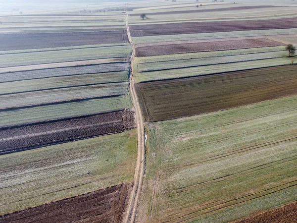 Vista Dal Drone Sui Campi — Foto Stock