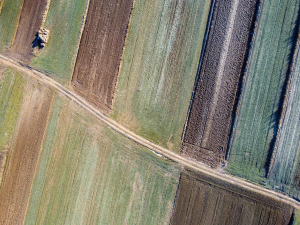 Vue Depuis Drone Sur Les Champs — Photo