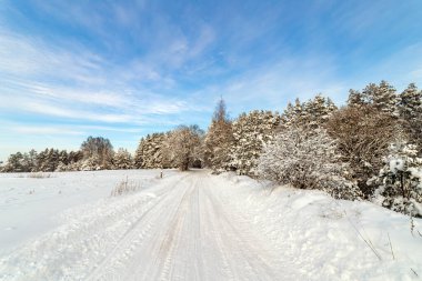 Ormandaki beyaz kış manzarasında yol. 