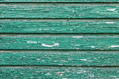 Yeşil Ahşap doku doğal desenleri ile