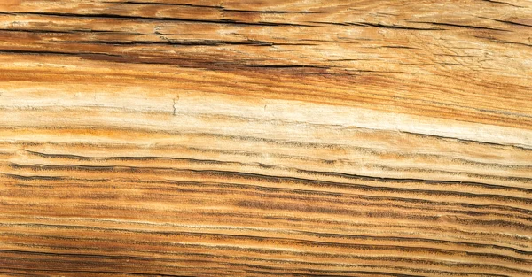 La texture naturelle du bois avec des motifs naturels — Photo