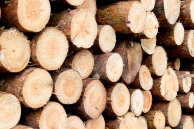 yığılmış ağacı ahşap günlükleri arka plan 