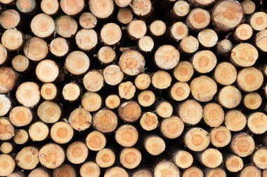 Stacked tree wood logs background  clipart