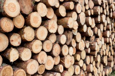 Rock - inşaat malzeme yığını 