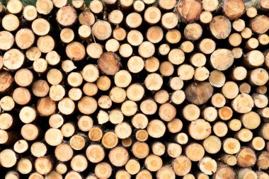 yığılmış ağacı ahşap günlükleri arka plan 
