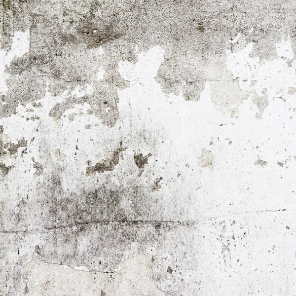오래 된 치장 벽 토 벽에 흰색 배경 또는 질감 — 스톡 사진
