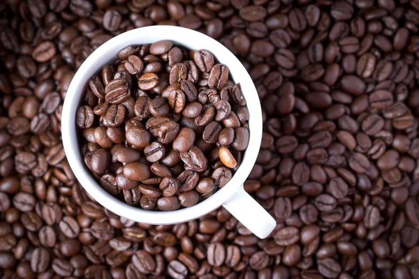 Koffie bonen in koffiekopje. macro close-up. — Stockfoto