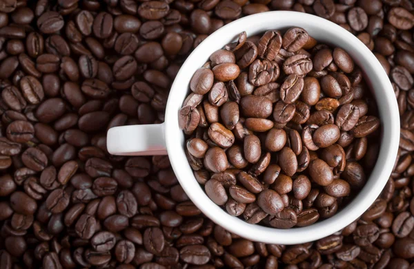 Koffie bonen in koffiekopje. macro close-up. — Stockfoto