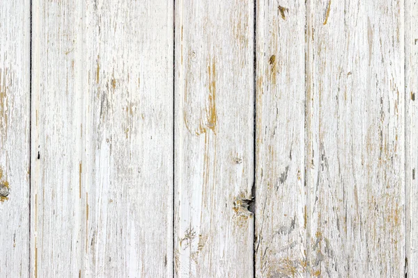 La texture in legno bianco con motivi naturali sfondo — Foto Stock