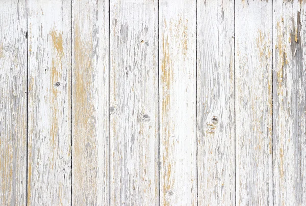 La texture in legno bianco con motivi naturali sfondo — Foto Stock