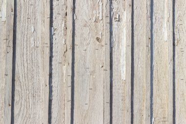 Beyaz ahşap dokulu doğal desenler arka plan ve 