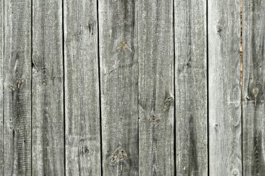 Doğal desenli eski ahşap doku.